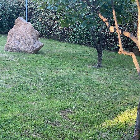 Bed And Breakfast Li Paduli Alvi Cannigione Dış mekan fotoğraf