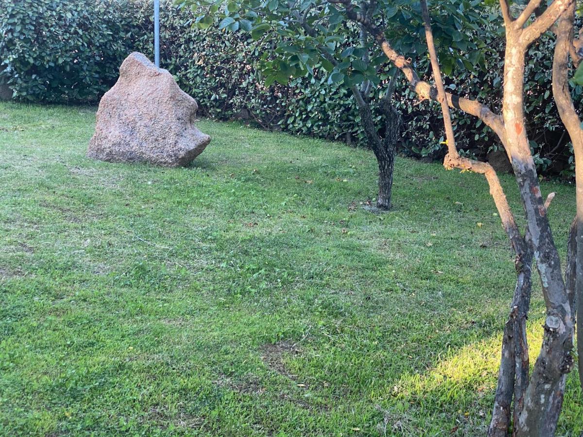 Bed And Breakfast Li Paduli Alvi Cannigione Dış mekan fotoğraf